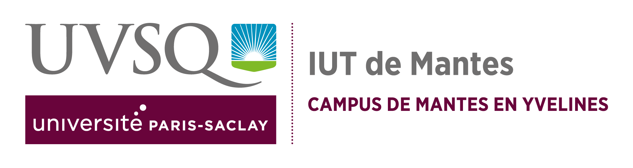 logo-IUT Mantes